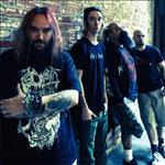 Photo of the Artist Soulfly